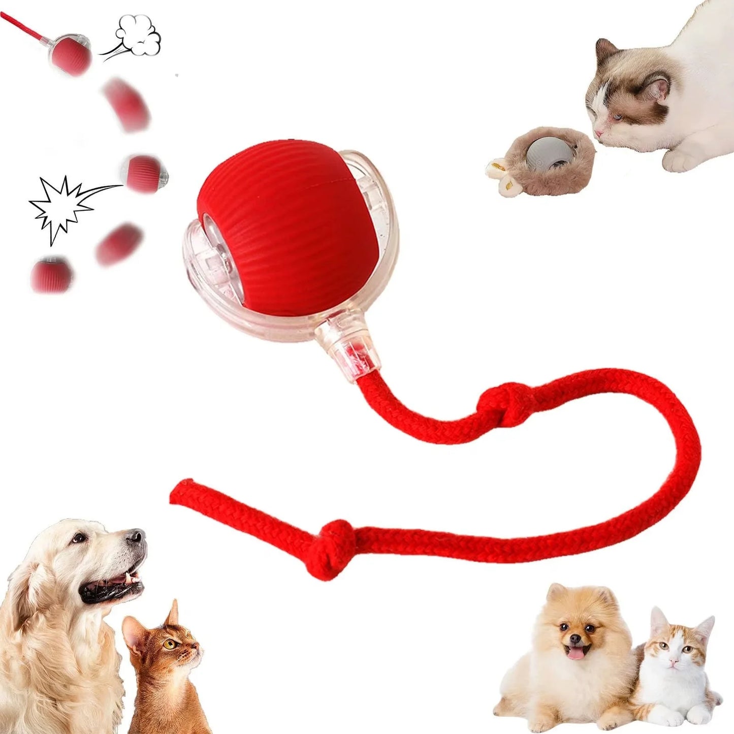 Bola interactiva para mascotas