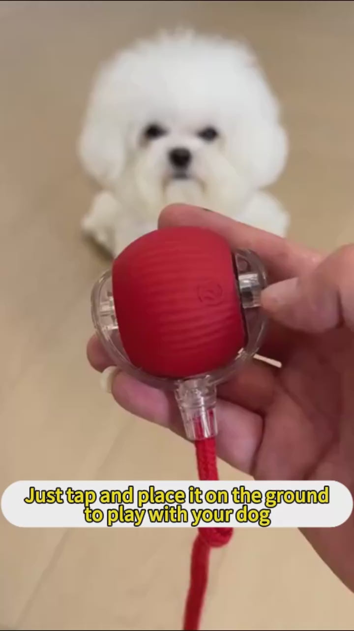 Bola interactiva para mascotas